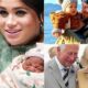 Breaking News: The British royal family announces joyful news as the wife of Prince Harry gives birth to twins, adding two more heirs to the royal lineage. King Charles rejoices as he names them…Full details in comment!!