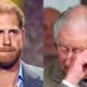 Prince Harry issues emotional statement about fatherhood