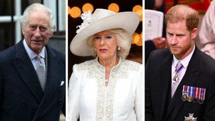 King Charles III was reportedly enraged by Prince Harry’s criticisms of Queen Consort Camilla in his memoir “Spare,” with one especially damaging nickname standing out!Read the comments!