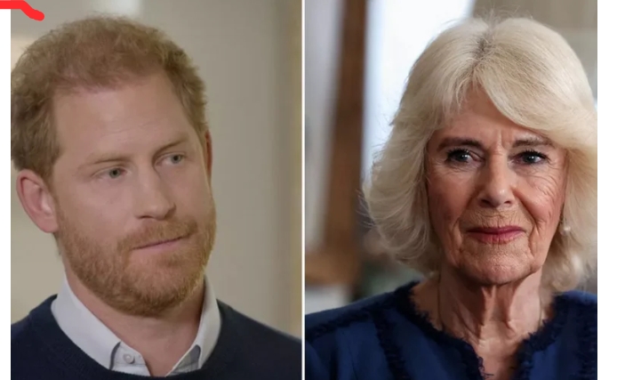 King Charles III was reportedly enraged by Prince Harry’s criticisms of Queen Consort Camilla in his memoir “Spare,” with one especially damaging nickname standing out!Read the comments!