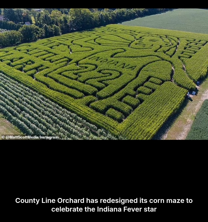 Incredible Caitlin Clark tribute unveiled by Indiana apple orchard to celebrate WNBA star's rookie season Be first to comment