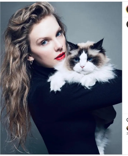 Taylor Swift endorsed Kamala Harris after Tuesday night’s presidential debate. In a post to her 283 million Instagram followers that featured a photo with her cat, the pop superstar said the debate convinced her to weigh in publicly.