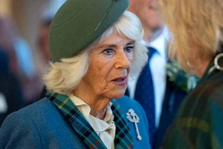 Queen Camilla to Prince William: Stay Away from the King!…..Read More