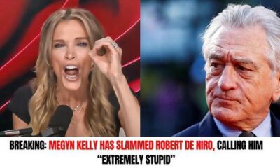 BREAKING: Megyn Kelly has slammed Robert De Niro, calling him “extremely stupid” The feud between these two heavyweights just escalated to a whole new level.