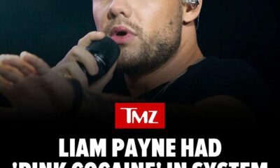 Liam Payne had multiple substances in his system when he died in Argentina, including a mix of drugs known as "pink cocaine" ... according to the initial results from his autopsy.