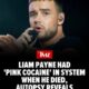 Liam Payne had multiple substances in his system when he died in Argentina, including a mix of drugs known as "pink cocaine" ... according to the initial results from his autopsy.