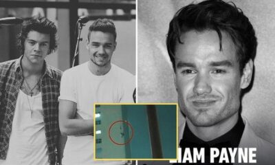 Breaking: Harry Styles Heartbreaking Confession Liam Payne Reached Out Days Before Tragedy ☞ Read Here: