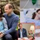 SAD NEWS: The British Royal Family decided to announce the saddest news that made fans unable to hold back their tears: “Prince William may face the biggest loss of his life, his wife has…see more