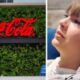 SHOCKING NEWS: Coca-Cola ends long-term partnership with Taylor Swift: “We do not support her because she has …Read more