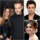 It's been reported that Liam Payne is the secret behind Cheryl Cole's success! Now that he's gone, is her career over?