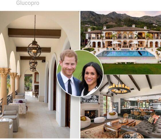 SAD NEWS: Prince Harry and Meghan Markle speak out heartbroken about losing all their assets after a fierce fire in Los Angeles Pacific Palisades turned their $14 million Montecito mansion into ashes, saddened to hear the news My mother was… see more